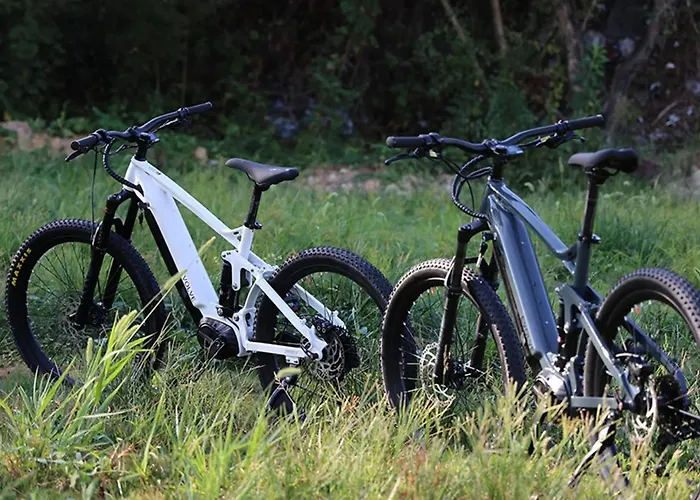 Apartment Ap Apartment's Rodzinny *